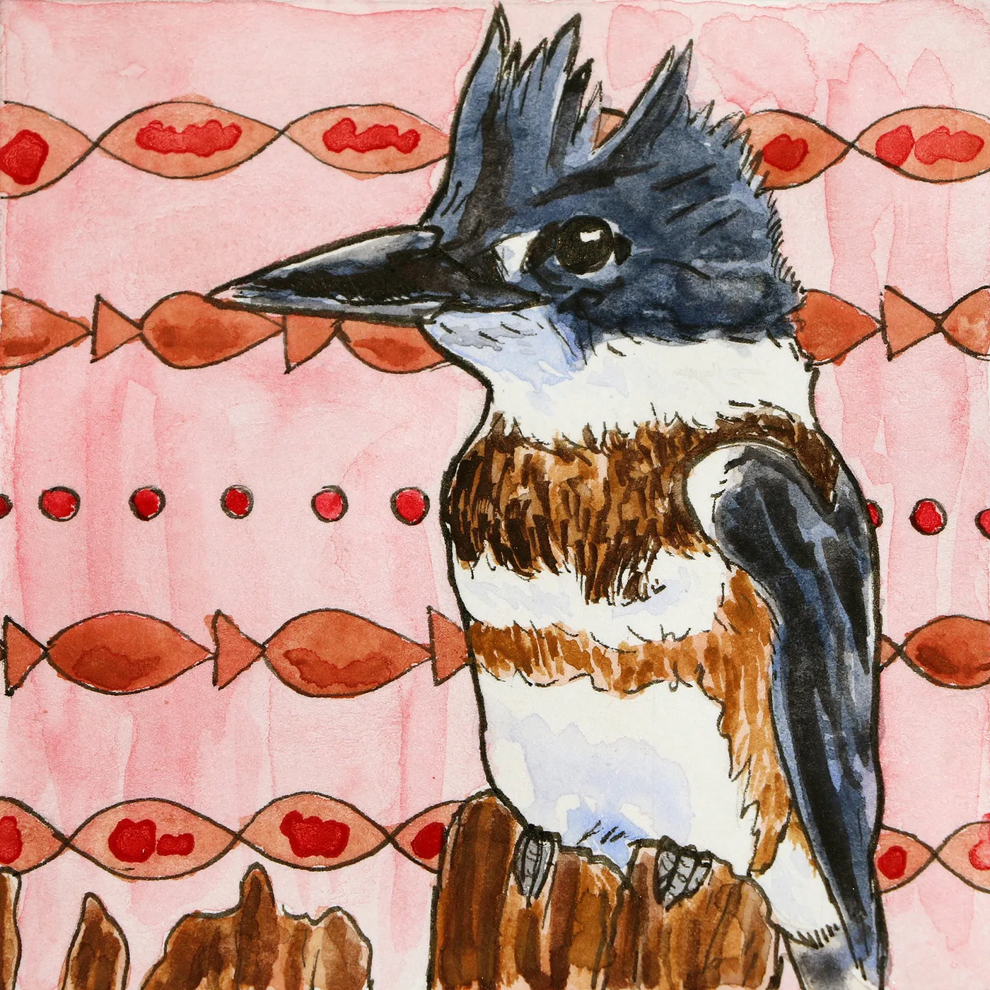 Kingfisher