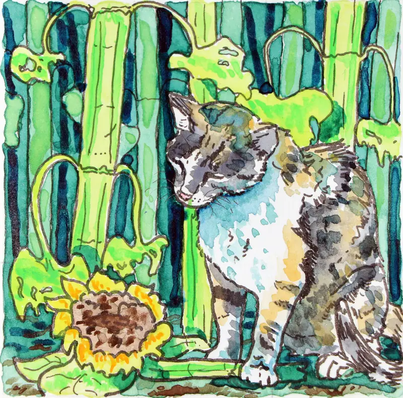 Calico in the Garden